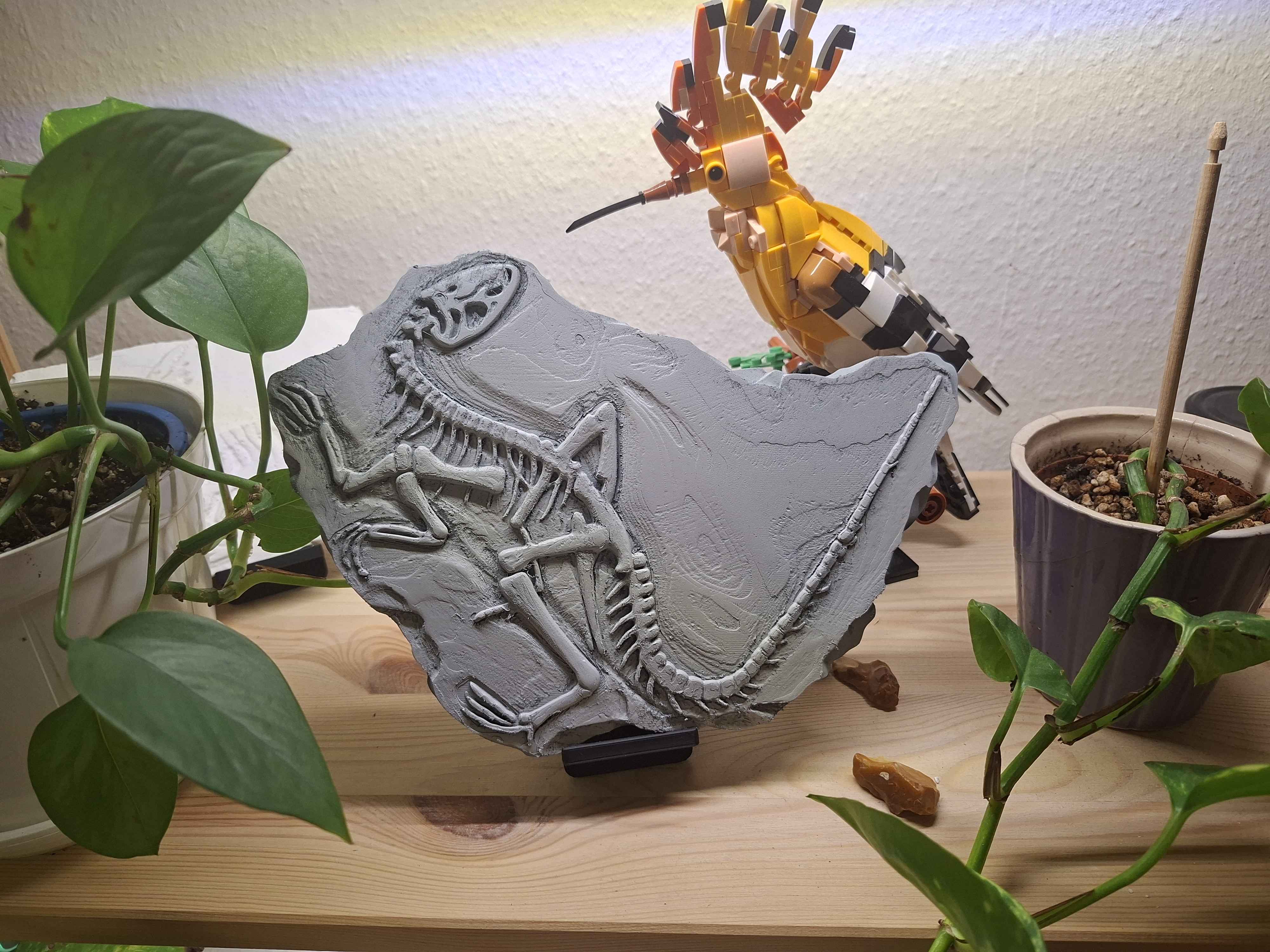 Fossilien-Replika Raptor